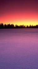 Ladda ner Landscape, Winter, Snow bilden 800x480 till mobilen.