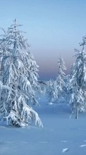 Ladda ner Landscape,Snow,Winter bilden till mobilen.