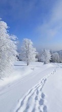 Ladda ner Landscape,Snow,Winter bilden till mobilen.