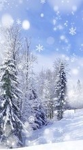 Landscape,Snow,Winter till Samsung Galaxy Win