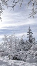 Landscape,Snow,Winter till Fly Nimbus 2 FS452