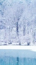 Landscape,Winter till BlackBerry Bold 9780