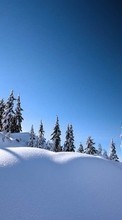 Landscape,Winter till Samsung Infuse 4G