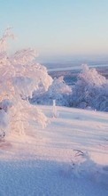 Landscape,Winter till Samsung Galaxy A8