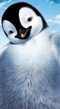Pinguins,Pictures,Animals till HTC EVO 3D