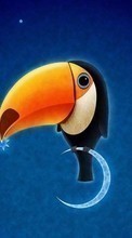 Birds, Pictures, Toucans till Sony Xperia Z1 Compact