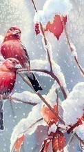 Ladda ner Animals, Winter, Birds, Snow, Drawings bilden 1280x800 till mobilen.