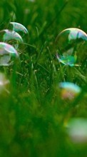 Bubbles, Plants, Grass till Nokia 5.3