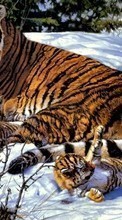 Ladda ner Pictures,Tigers,Animals bilden till mobilen.