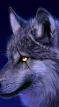 Ladda ner Animals, Wolfs bilden 720x1280 till mobilen.