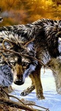 Wolfs,Animals till Apple iPod touch 3G