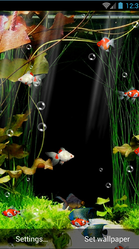 Gratis Akvarier live wallpaper för Android på surfplattan arbetsbordet: Aquarium by minatodev.
