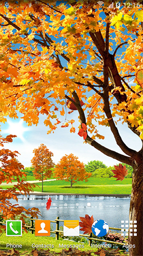 Gratis levande bakgrundsbilder Autumn pond på Android-mobiler och surfplattor.