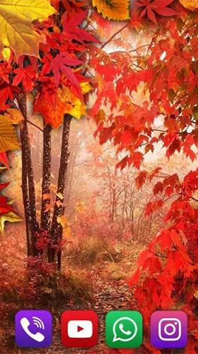 Gratis levande bakgrundsbilder Autumn rain by SweetMood på Android-mobiler och surfplattor.