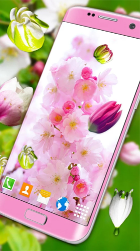 Gratis 3D live wallpaper för Android på surfplattan arbetsbordet: Blossoms 3D.