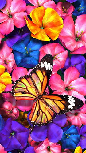 Gratis Interactive live wallpaper för Android på surfplattan arbetsbordet: Butterfly by HQ Awesome Live Wallpaper.