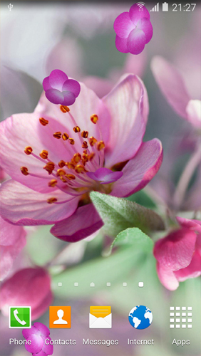 Gratis Växter live wallpaper för Android på surfplattan arbetsbordet: Cherry Blossom.