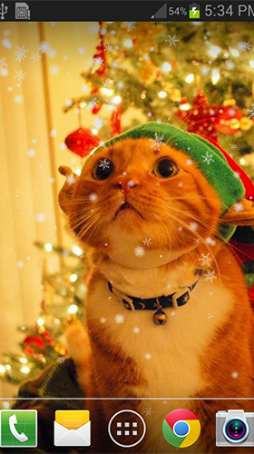 Gratis levande bakgrundsbilder Christmas cat by live wallpaper HongKong på Android-mobiler och surfplattor.