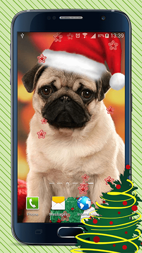 Gratis levande bakgrundsbilder Christmas dogs på Android-mobiler och surfplattor.