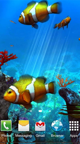 Gratis Akvarier live wallpaper för Android på surfplattan arbetsbordet: Clownfish aquarium 3D.