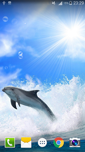 Gratis Akvarier live wallpaper för Android på surfplattan arbetsbordet: Dolphin by Live wallpaper HD.