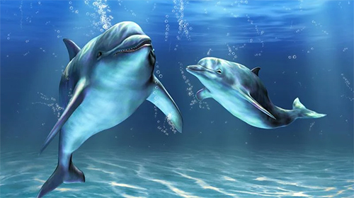Gratis Akvarier live wallpaper för Android på surfplattan arbetsbordet: Dolphins 3D by Mosoyo.