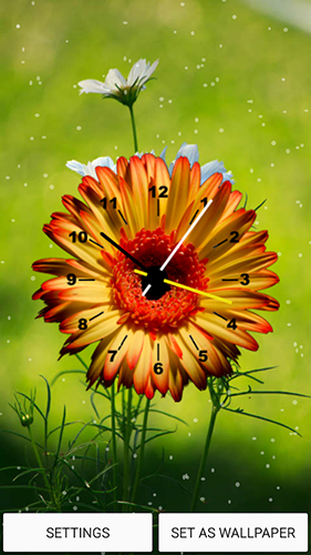 Gratis With clock live wallpaper för Android på surfplattan arbetsbordet: Flowers clock.