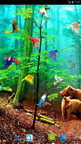 Gratis Interactive live wallpaper för Android på surfplattan arbetsbordet: Forest birds.