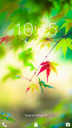 Gratis levande bakgrundsbilder Fresh Leaves på Android-mobiler och surfplattor.