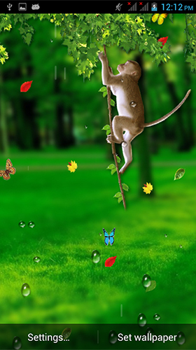 Gratis Djur live wallpaper för Android på surfplattan arbetsbordet: Funny monkey by Galaxy Launcher.
