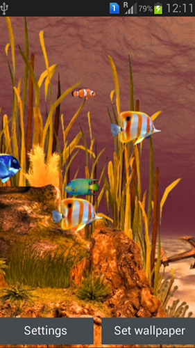 Gratis Akvarier live wallpaper för Android på surfplattan arbetsbordet: Galaxy aquarium.
