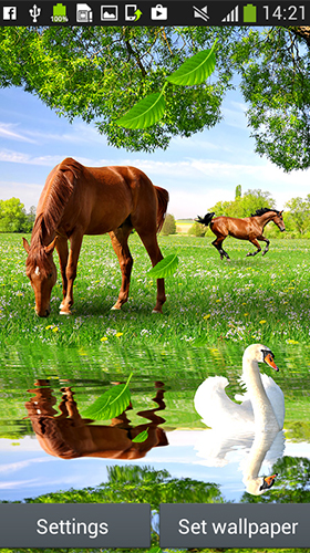Gratis levande bakgrundsbilder Horses by Latest Live Wallpapers på Android-mobiler och surfplattor.