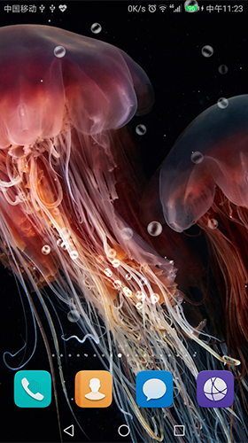 Gratis levande bakgrundsbilder Jellyfish by live wallpaper HongKong på Android-mobiler och surfplattor.