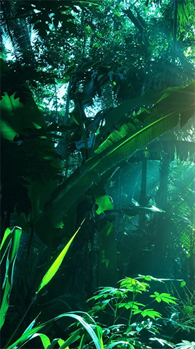 Gratis Växter live wallpaper för Android på surfplattan arbetsbordet: Jungle by Pro Live Wallpapers.