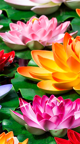 Gratis Blommor live wallpaper för Android på surfplattan arbetsbordet: Lotus by Latest Live Wallpapers.