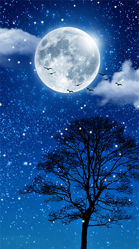 Gratis levande bakgrundsbilder Moonlight by Thalia Spiele und Anwendungen på Android-mobiler och surfplattor.