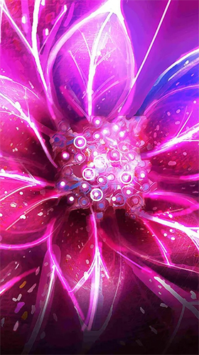 Gratis Blommor live wallpaper för Android på surfplattan arbetsbordet: Neon flowers by Art LWP.