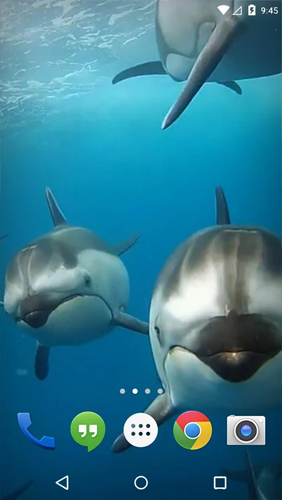 Gratis 3D live wallpaper för Android på surfplattan arbetsbordet: Ocean 3D: Dolphin.