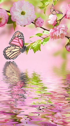 Gratis Blommor live wallpaper för Android på surfplattan arbetsbordet: Pink butterfly by Live Wallpaper Workshop.