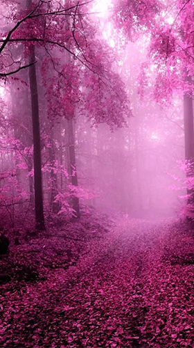 Gratis levande bakgrundsbilder Pink forest på Android-mobiler och surfplattor.