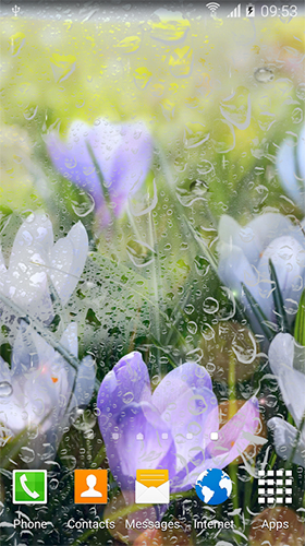 Gratis Blommor live wallpaper för Android på surfplattan arbetsbordet: Rainy flowers.