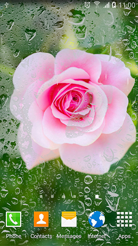 Gratis Blommor live wallpaper för Android på surfplattan arbetsbordet: Roses by Live Wallpapers 3D.