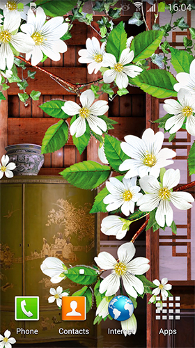 Gratis Blommor live wallpaper för Android på surfplattan arbetsbordet: Sakura by BlackBird Wallpapers.