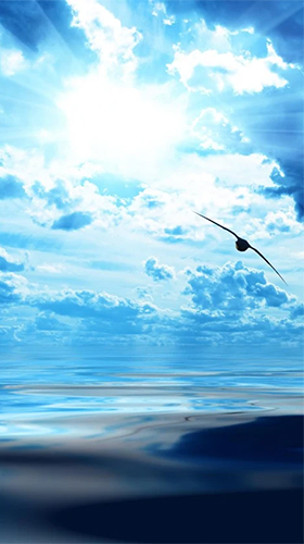 Gratis levande bakgrundsbilder Sea and sky på Android-mobiler och surfplattor.