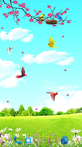 Gratis Interactive live wallpaper för Android på surfplattan arbetsbordet: Sky birds.