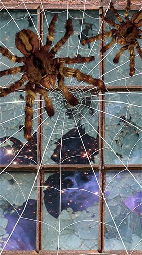 Gratis levande bakgrundsbilder Spider by Cosmic Mobile Wallpapers på Android-mobiler och surfplattor.