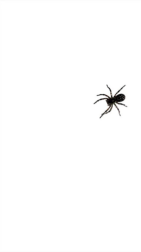 Gratis Interactive live wallpaper för Android på surfplattan arbetsbordet: Spider by villeHugh.