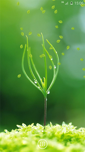 Gratis Växter live wallpaper för Android på surfplattan arbetsbordet: Spring greens.