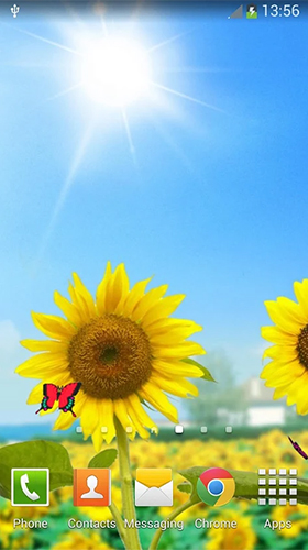 Gratis Interactive live wallpaper för Android på surfplattan arbetsbordet: Sunflowers.