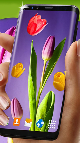 Gratis Blommor live wallpaper för Android på surfplattan arbetsbordet: Tulips by 3D HD Moving Live Wallpapers Magic Touch Clocks.